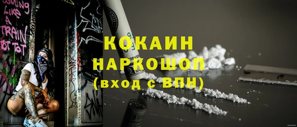 дживик Богородицк