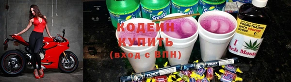 дживик Богородицк