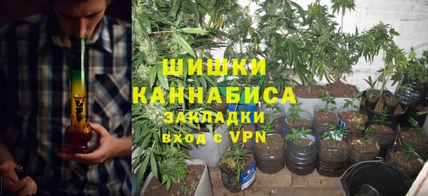 дживик Богородицк