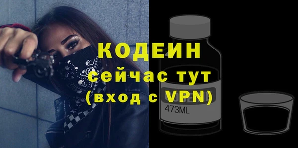 дживик Богородицк