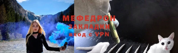 дживик Богородицк