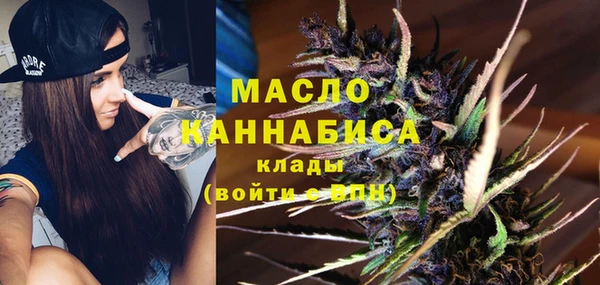 дживик Богородицк