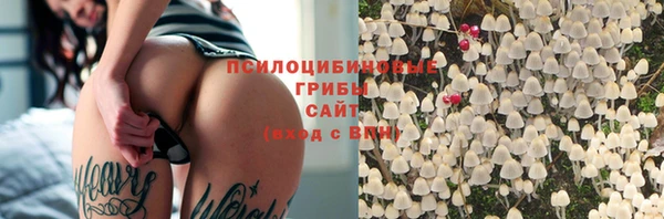 каннабис Беломорск