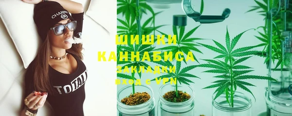 соль ск Богородск