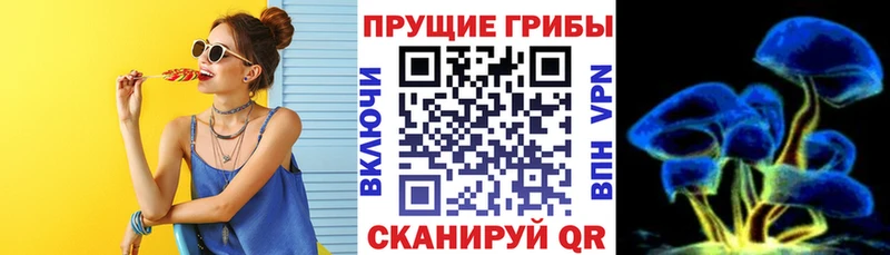 OMG ONION  Менделеевск  Псилоцибиновые грибы Psilocybine cubensis 